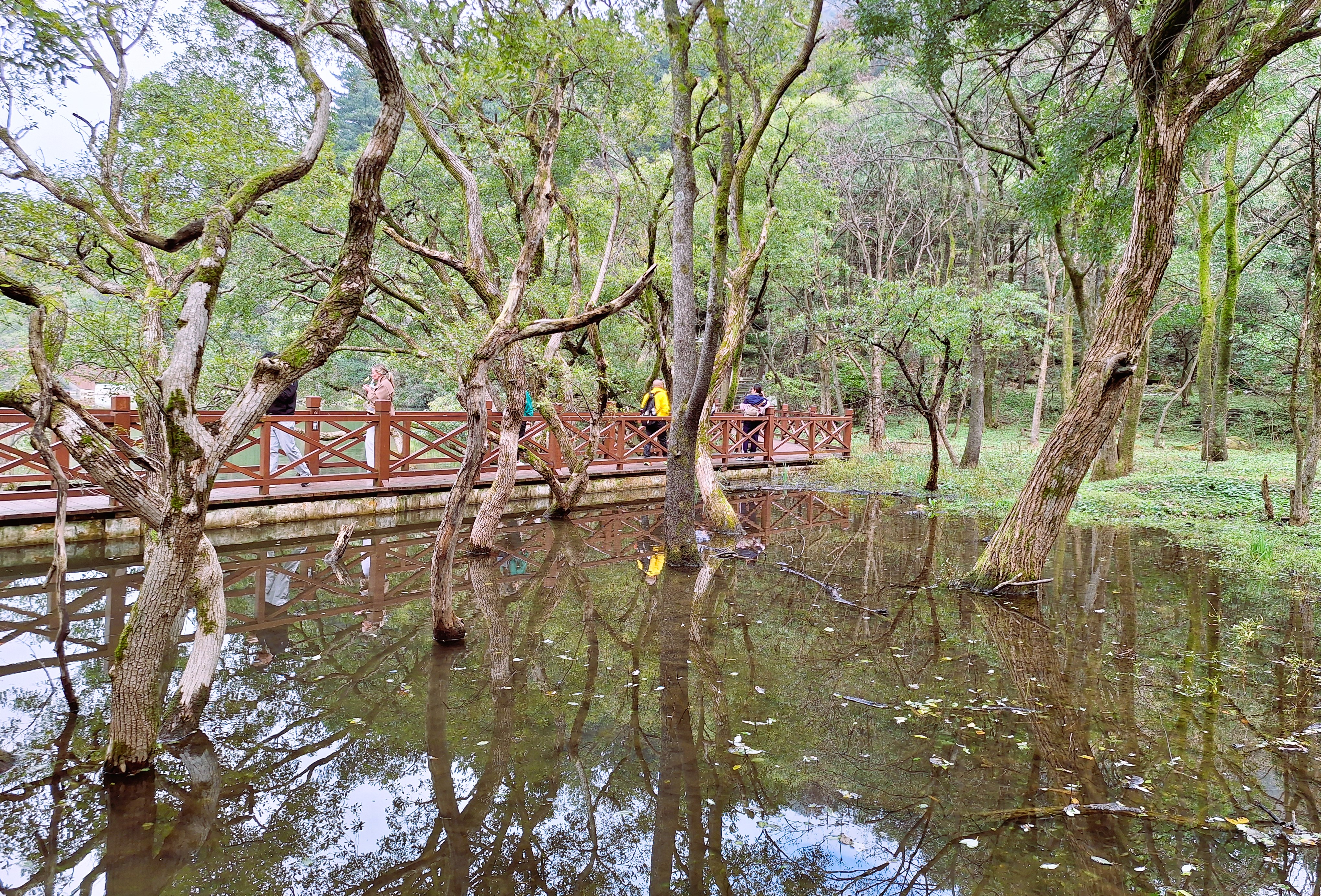 White Dragon Pool in Zengdu District, Suizhou.